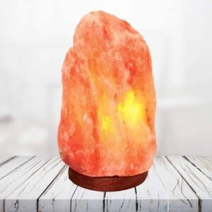 Himalayan Salt Night Light